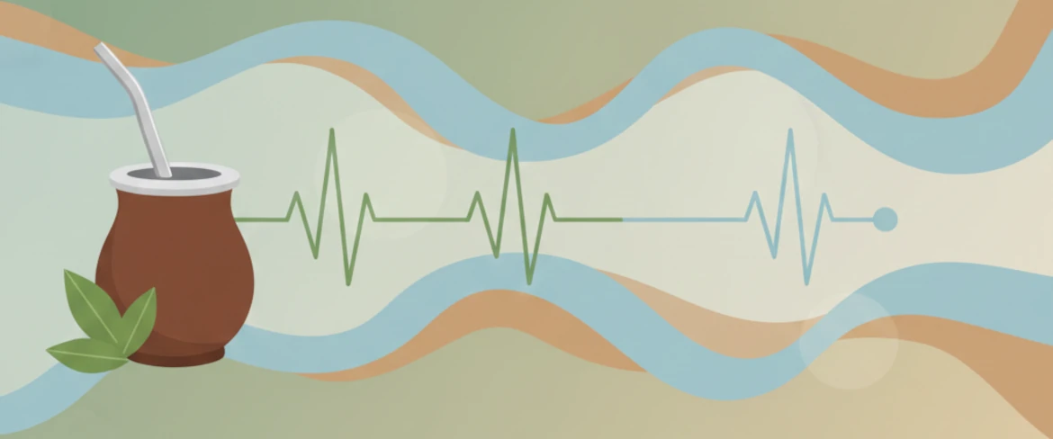 Yerba mate en bloeddruk – verhoogt yerba mate de bloeddruk en hoe werkt cafeïne?