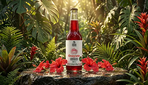 Een nieuwe manier om je energie een boost te geven – ontdek Guayusa Pachamama Cold Brew