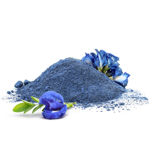 Mary Rose – Blue Matcha – Butterfly Pea Tea (poeder) 100 g