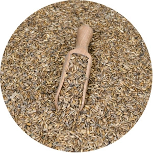 Vivarini – Mariadistel (zaden) 1 kg