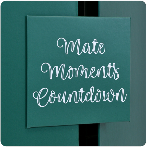 Adventskalender – yerba mate en accessoires – Verde Mate en andere merken