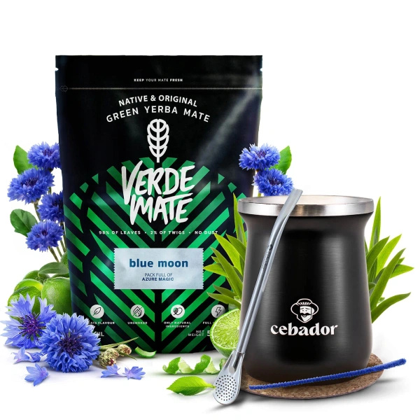 Yerba Mate Set Verde Mate 500g 0,5kg Thermische Mate Beker TermoMate PRO