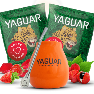 Yerba Mateo set + Bombilla om u op weg te helpen