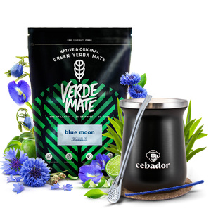 Yerba Mate Set Verde Mate 500g 0,5kg Thermische Mate Beker TermoMate PRO