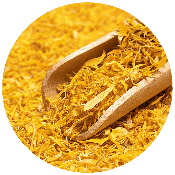 Mary Rose – Goudsbloem 100 g – goudsbloembloesem (bloemblaadjes)