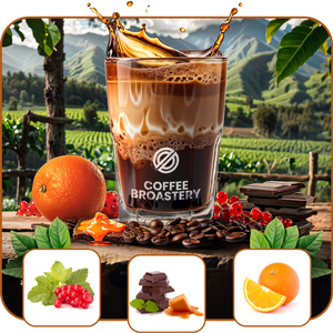 Bro Coffee Roastery - Hele Bonen Koffie Colombia Medellin Premium 400g