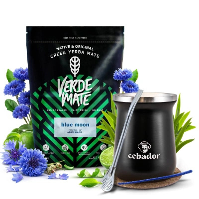 Yerba Mate Set Verde Mate 500g 0,5kg Thermische Mate Beker TermoMate PRO