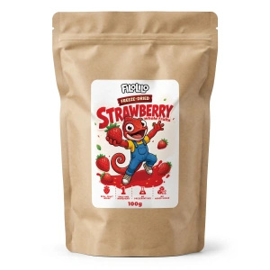 FiloLilo – Gevriesdroogde aardbeien (hele) 100 g