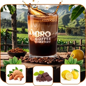 Set Bro Coffee Roastery Brazil Samba + Brazil Cerrado 2x1kg (2kg)