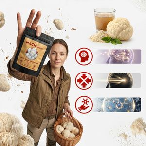 Magic Pwdr – Lion’s Mane – Pruikzwam 100 g