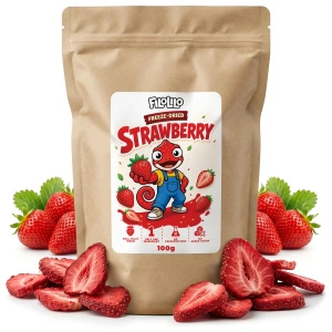 FiloLilo – Gevriesdroogde aardbeien (schijfjes) 100 g