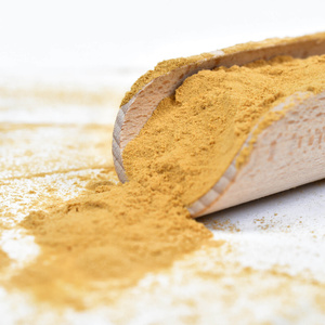 Magic Pwdr – Lion’s Mane – Pruikzwam 100 g