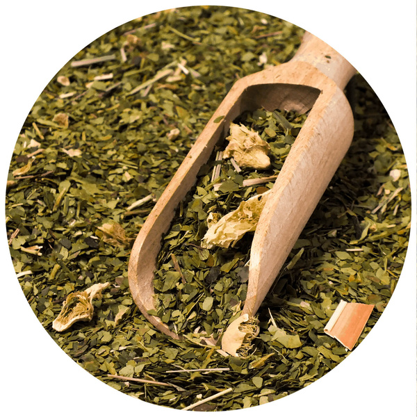 Geschenkset Yerba Mate Verde Mate Cactus 0,5kg