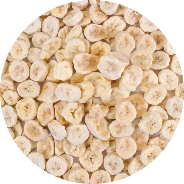 FiloLilo – Gevriesdroogde bananen (schijfjes) 20 g