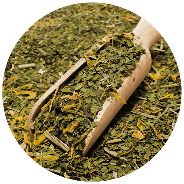 Trio Yerba Verde Mate op START voor beginners