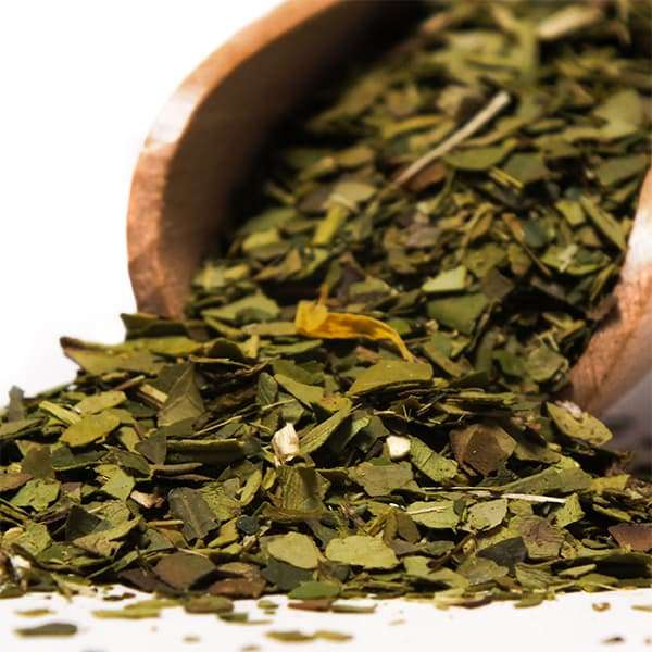 Yerbera – Blik + Verde Mate Green Energia Organica 0,5 kg