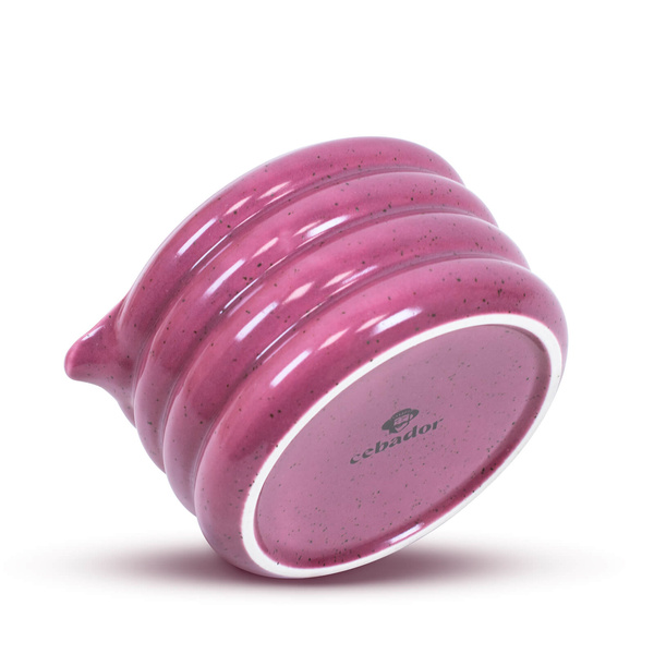 Set om Pink Matcha te bereiden