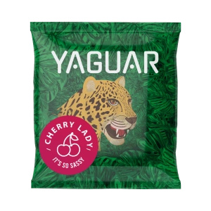 Yerba Mate-set voor Twee: monsters Yaguar 10x50g + 2x Kalebas + 2x Bombilla