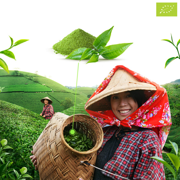 Mary Rose – Japanse Matcha Groene Thee (BIO) 100 g