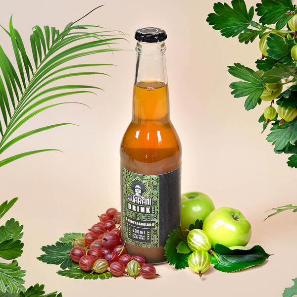 Guarani Drink – Koudgetrokken Yerba Maté Infuus – Mentha & Boldo 330 ml