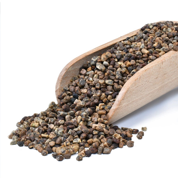 Vivarini – Kardemom (gedopte zaden) 100 g