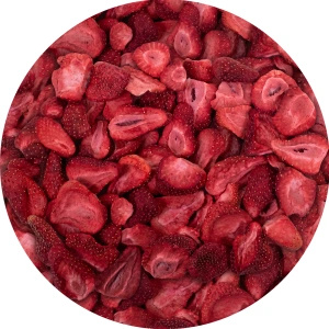 FiloLilo – Gevriesdroogde aardbeien (schijfjes) 20 g