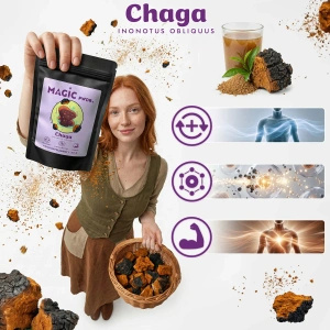 Magic Pwdr – Chaga 50 g