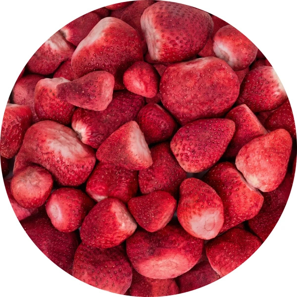 FiloLilo – Gevriesdroogde aardbeien (hele) 20 g