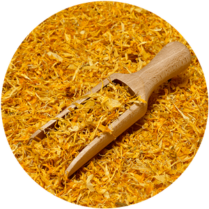 Mary Rose – Goudsbloem 10 g – goudsbloembloesem (bloemblaadjes)