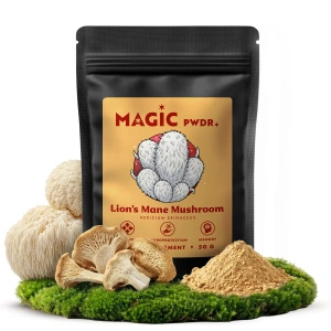 Magic Pwdr – Lion’s Mane – Pruikzwam 50 g