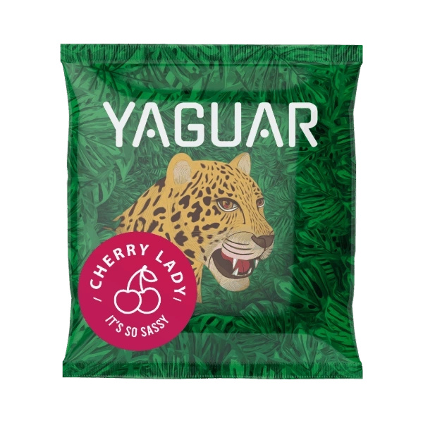 Yerba Mate-set voor Twee: monsters Yaguar 10x50g + 2x Kalebas + 2x Bombilla