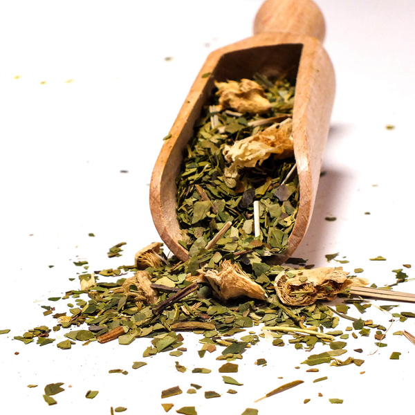 Geschenkset Yerba Mate Verde Mate Cactus 0,5kg