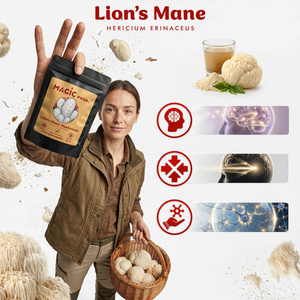Magic Pwdr – Lion’s Mane – Pruikzwam 30 g
