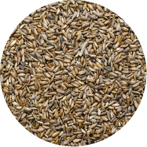 Vivarini – Mariadistel (zaden) 0,5 kg