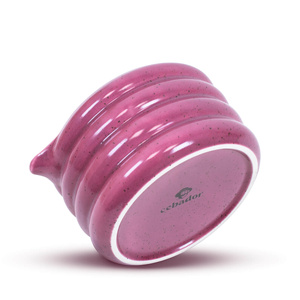 Set om Purple Matcha te bereiden