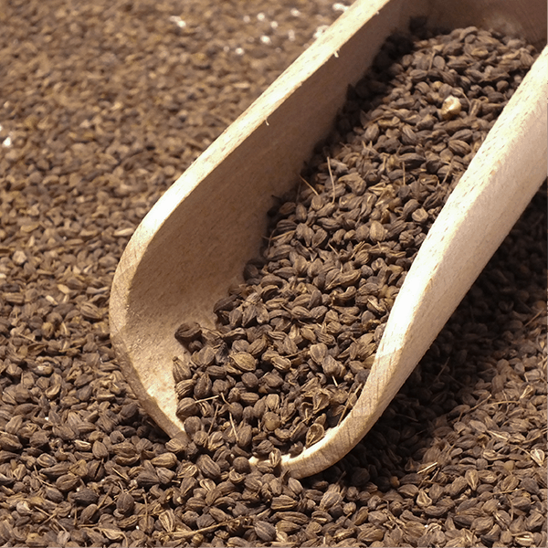 Vivarini - Anijs (biologisch) 50 g