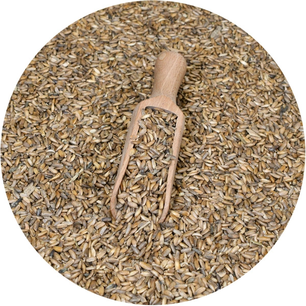 Vivarini – Mariadistel (zaden) 50 g