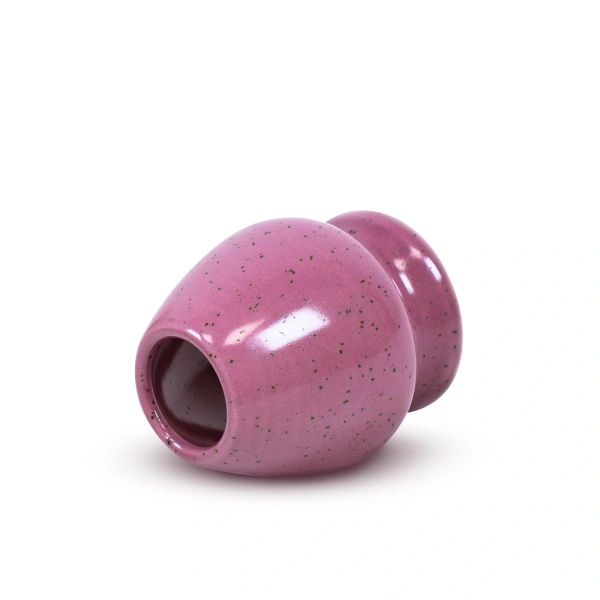 Cadeauset om Pink Matcha te bereiden