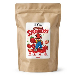 FiloLilo – Gevriesdroogde aardbeien (schijfjes) 100 g