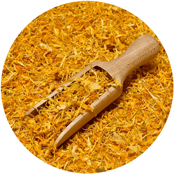 Mary Rose – gedroogde goudsbloemen