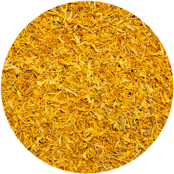Mary Rose – Goudsbloem 10 g – goudsbloembloesem (bloemblaadjes)