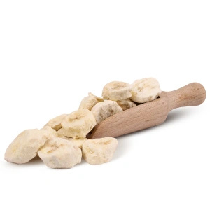 FiloLilo – Gevriesdroogde bananen (schijfjes) 20 g