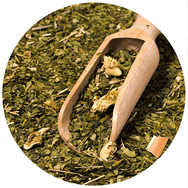 Yerbera – Blik + Verde Mate Green Cactus de Juarez 0,5 kg