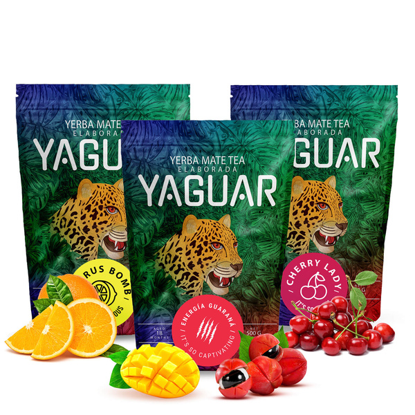 Trio yerba mate Yaguar startset voor beginners