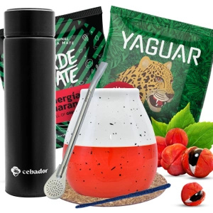 Yerba Mate startpakket Thermos Kalebas 2x50g