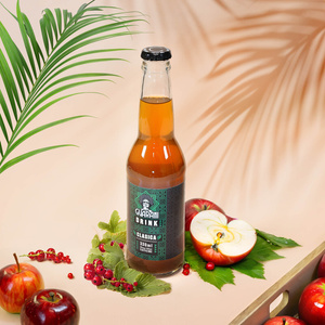 Guarani Drink – Koudgetrokken Yerba Maté Infuus – Clasica 330 ml