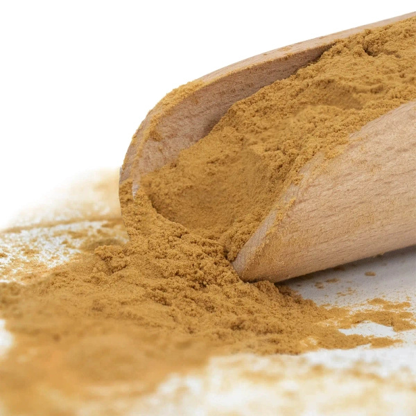 Magic Pwdr – Chaga 50 g