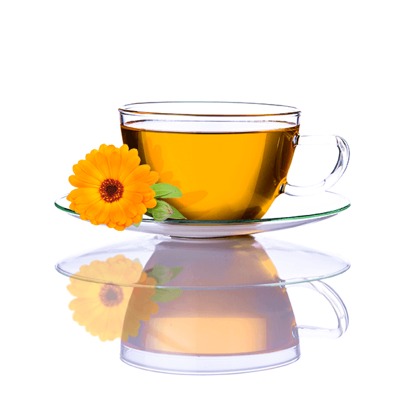 Mary Rose - Calendula bloem (bloemblaadjes) 10 g