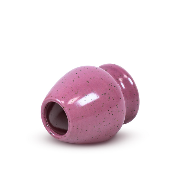 Set om Purple Matcha te bereiden