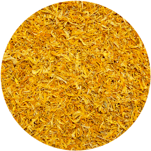 Mary Rose – Goudsbloem 10 g – goudsbloembloesem (bloemblaadjes)